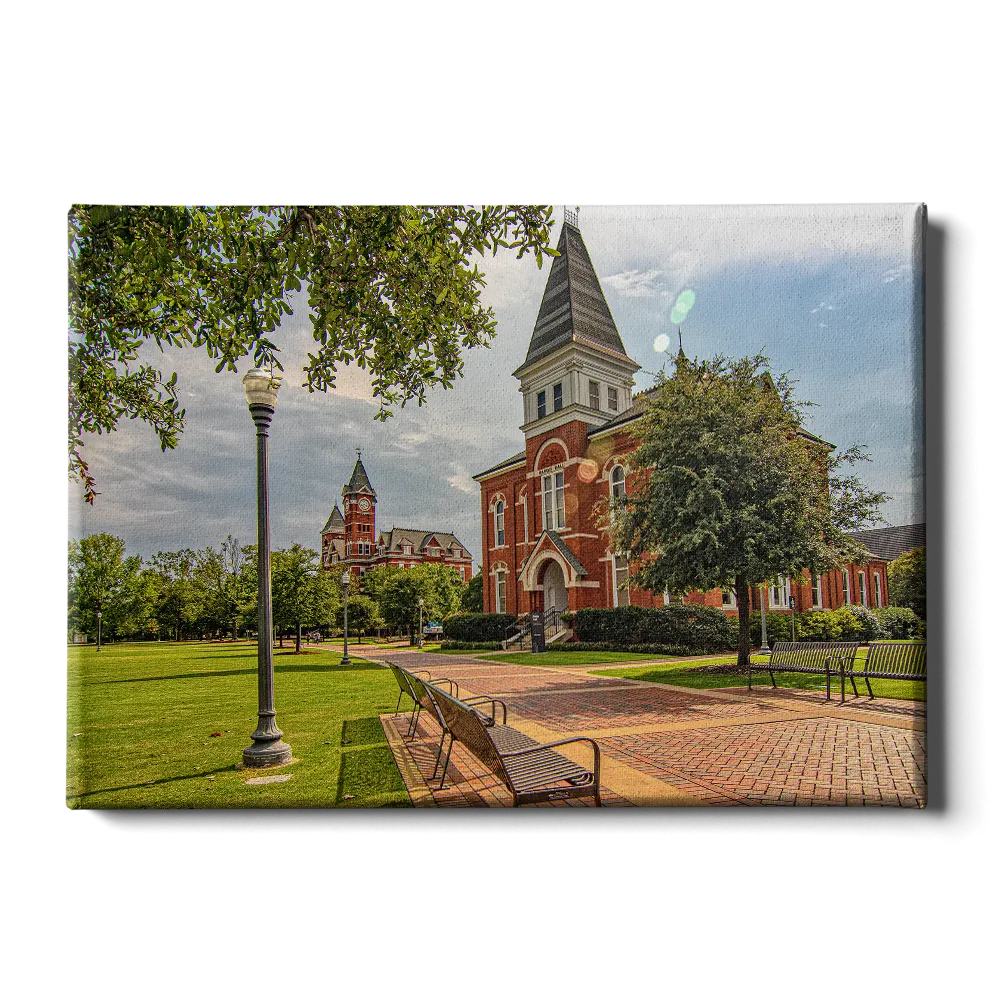 Auburn Tigers - Old School HDR