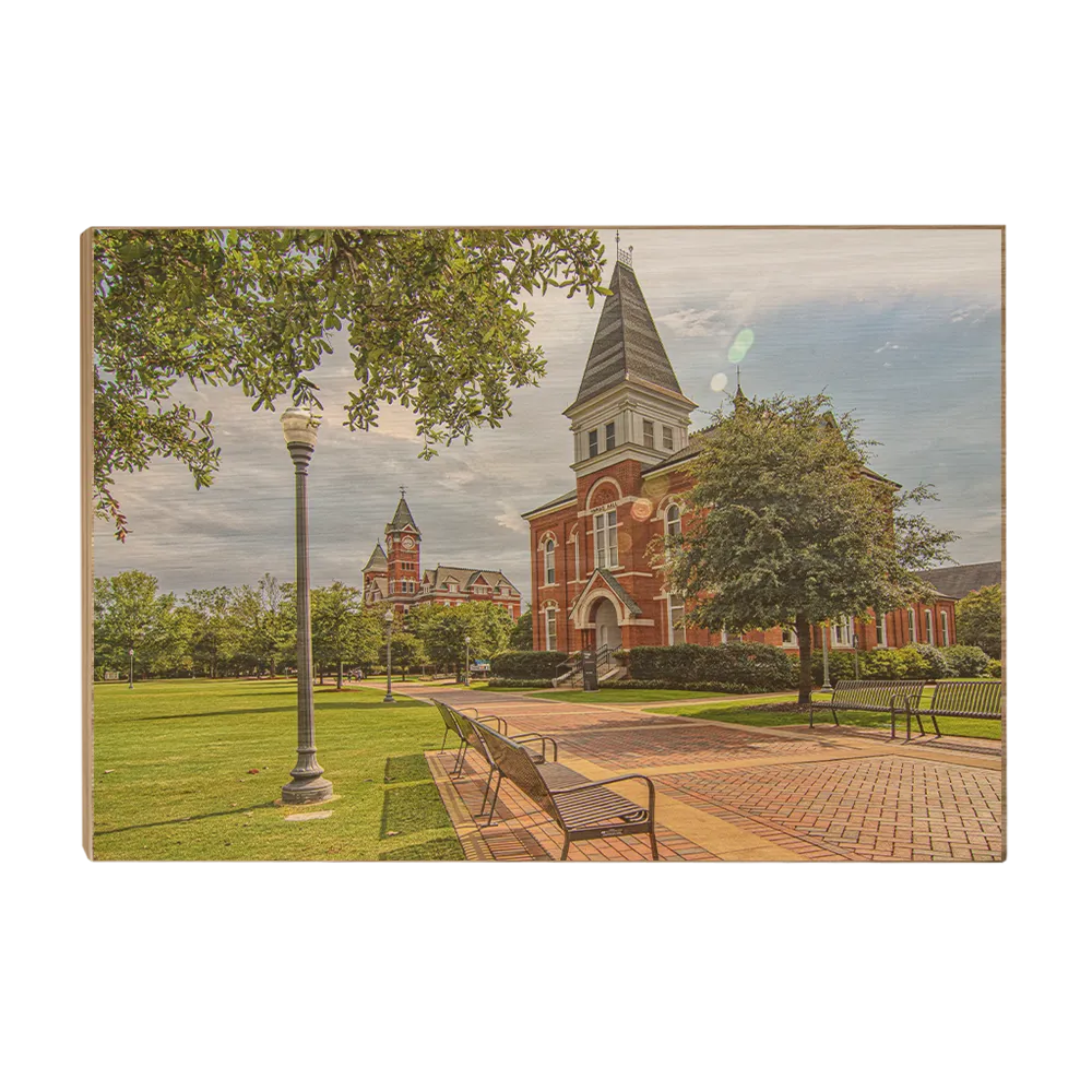 Auburn Tigers - Old School HDR