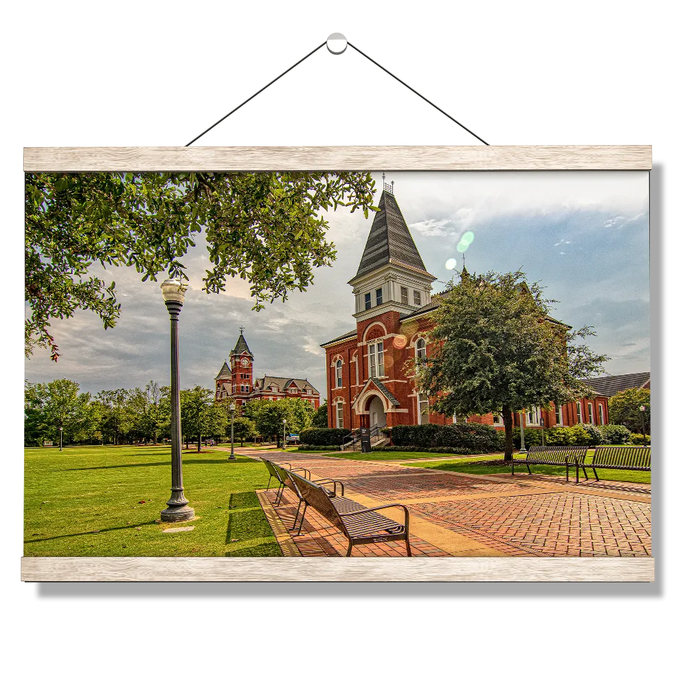 Auburn Tigers - Old School HDR