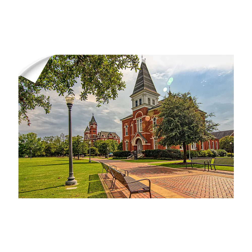 Auburn Tigers - Old School HDR