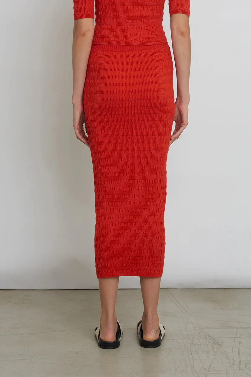 Carrie Tube Skirt